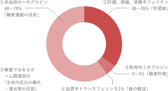 ヘム鉄とは | ヘム鉄 | 機能性食品 | ILS株式会社
